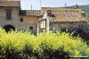 vallina286_20