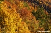 vallombrosa011