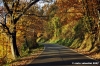 vallombrosa035