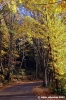 vallombrosa037
