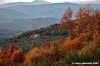 vallombrosa057