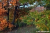 vallombrosa059