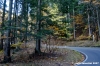 vallombrosa087