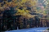 vallombrosa090