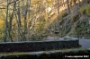 vallombrosa100
