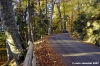 vallombrosa111