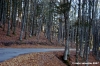 vallombrosa120