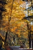 vallombrosa127