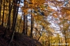 vallombrosa145