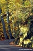 vallombrosa153