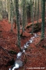 vallombrosa177