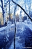 vallombrosa507_09