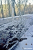 vallombrosa507_10
