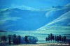 volterra1009_22