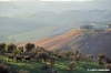volterra1009_41