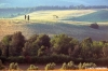 volterra987_48