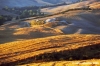 volterra_balze988_11
