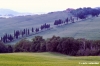 volterrana296_02
