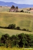 volterrana356_39