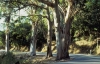 foresta_chiavari261_06