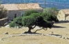 piani261_29