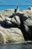 porto_pollo262_03