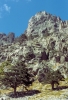 restonica259_42