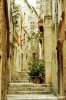 curzola373_46