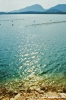 ston372_27