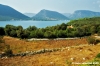 ston372_28