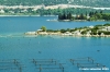 ston372_37