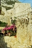 ston373_05