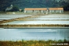 ston373_11