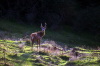 PCD0647_068