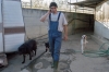cani_canile012_040612