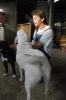cani_canile026_040612