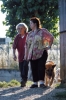 cani_canile029_040612
