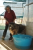 cani_canile031_040612
