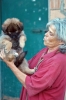 cani_canile093_040612