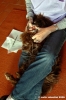 dentista_animali032