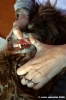 dentista_animali033