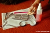 dentista_animali045