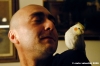 pappagallo7