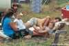 zingari669_29