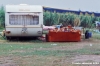 zingari679_19