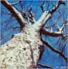 pola_880328