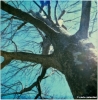 pola_880328b