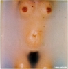 pola_900204